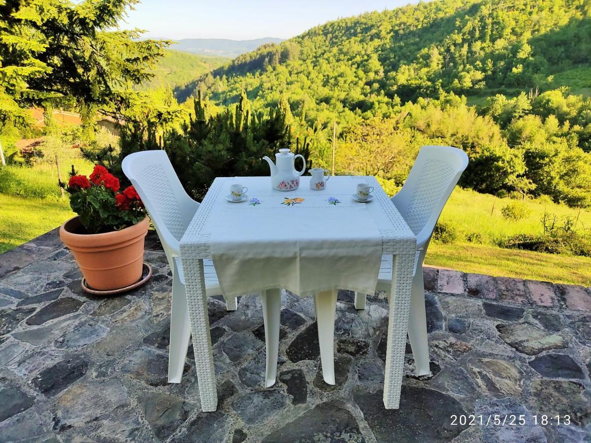 Casa Titina Riposo E Relax Nella Campagna Toscana Pratovecchio Exterior photo